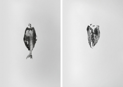 artandme_56e04bc53c980.jpg