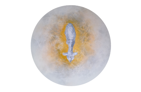 artandme_5e39b95d50a66.png